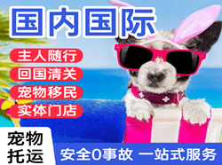 昌都邦达机场空运国际宠物托运 【国